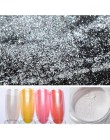 Proszek do paznokci Nail Art chromowy pigment do manicure dekoracje w Tip błyszczy kurz 1g proszek perłowy