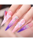 NICOLE pamiętnik proszek akrylowy 10 ml przedłużanie końcówki paznokcie typu french proszek polimerowy Nail Art porady Builder M