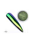 Proszek akrylowy do paznokci syrenka Pigment pył DIY holograficzny Neon wystrój q71018
