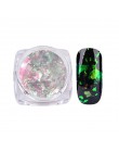 Nail Art wspaniały Chameleon lustro proszek do Manicure Chrome Pigment Glitters 0.2g