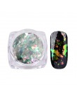 Nail Art wspaniały Chameleon lustro proszek do Manicure Chrome Pigment Glitters 0.2g