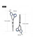 Brainbow 6 inch Cutting Thinning  Styling Tool Hair Scissors Stainless Steel Salon Hairdressing Shears Regular Flat Teeth Blades