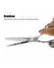 Brainbow 6 inch Cutting Thinning  Styling Tool Hair Scissors Stainless Steel Salon Hairdressing Shears Regular Flat Teeth Blades