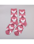 Moda szczęśliwy śmieszne skarpetki bawełna miękkie Sox piękny krzywa kobiety panie dziewczyny Harajuku ptak puppy kot sztuki ska