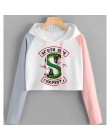 Riverdale bluza z kapturem bluzy South Side węże Streetwear topy wiosna bluzy z kapturem kobiet z kapturem Harajuku jesień zima 