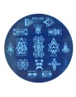 STZ szablon tłoczenia paznokci dreamcatcher flamingi kwiat koronki owoce Stamp talerze paznokci formy wzornik narzędzia do Manic