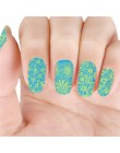 BeautyBigBang płytka do stemplowania sztuka zdobienia paznokci tłoczenie kwiat wzór wzornik dla paznokcie sztuka do paznokci Cha