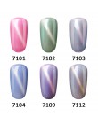 FairyGlo 10 ML żel do paznokci lakier Jade Cat Eye Gel Nail polski magnes Hybrid lakier Semi Permanent lakier do paznokci podkła