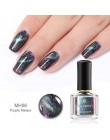 Urodzony dość 3D magnetyczne brokat lakier do paznokci 6 ml holograficzny kocie oko Chameleon lakier do paznokci lakier do pazno
