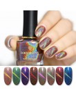 BORN PRETTY 6 ml kameleon 3D magnetyczny lakier do paznokci kocie oko Aurora serii Manicure lakier do paznokci magnetyczny czarn