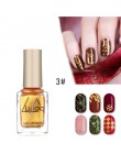 Paznokci lakier do paznokci i pieczęć polski Nail Art opcjonalnie tłoczenie 6 ML 12 kolor lakier do paznokci lakier w sprayu pie