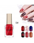 Paznokci lakier do paznokci i pieczęć polski Nail Art opcjonalnie tłoczenie 6 ML 12 kolor lakier do paznokci lakier w sprayu pie