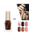 Paznokci lakier do paznokci i pieczęć polski Nail Art opcjonalnie tłoczenie 6 ML 12 kolor lakier do paznokci lakier w sprayu pie