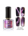 BORN PRETTY 6 ml kameleon 3D magnetyczny lakier do paznokci kocie oko Aurora serii Manicure lakier do paznokci magnetyczny czarn