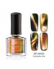 BORN PRETTY 6 ml kameleon 3D magnetyczny lakier do paznokci kocie oko Aurora serii Manicure lakier do paznokci magnetyczny czarn