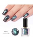 BORN PRETTY 6 ml kameleon 3D magnetyczny lakier do paznokci kocie oko Aurora serii Manicure lakier do paznokci magnetyczny czarn