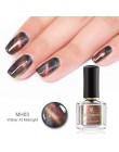 BORN PRETTY 6 ml kameleon 3D magnetyczny lakier do paznokci kocie oko Aurora serii Manicure lakier do paznokci magnetyczny czarn