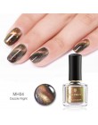 BORN PRETTY 6 ml kameleon 3D magnetyczny lakier do paznokci kocie oko Aurora serii Manicure lakier do paznokci magnetyczny czarn