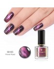 BORN PRETTY 6 ml kameleon 3D magnetyczny lakier do paznokci kocie oko Aurora serii Manicure lakier do paznokci magnetyczny czarn