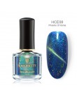 BORN PRETTY 6 ml kameleon 3D magnetyczny lakier do paznokci kocie oko Aurora serii Manicure lakier do paznokci magnetyczny czarn