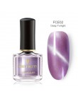 BORN PRETTY 6 ml kameleon 3D magnetyczny lakier do paznokci kocie oko Aurora serii Manicure lakier do paznokci magnetyczny czarn